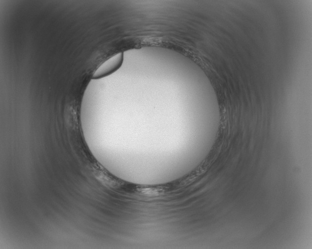 X0000073930522200608111029