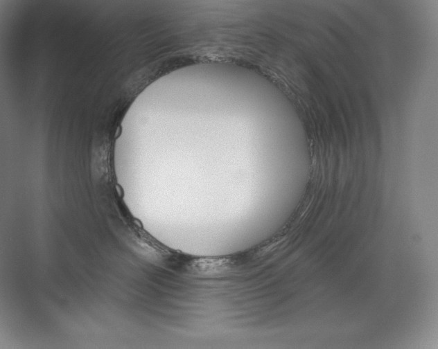 X0000073930526200608111029