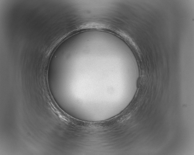 X0000073930529200608111028