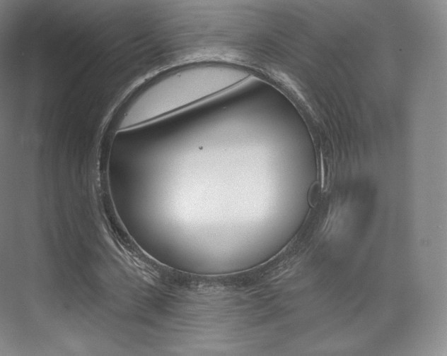 X0000073930531200608111028