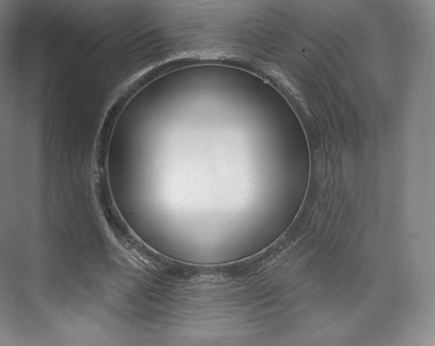 X0000073930536200608111028