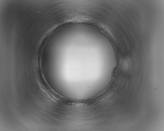 X0000073930539200608111028