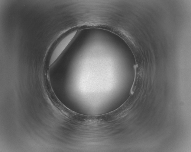 X0000073930540200608111028