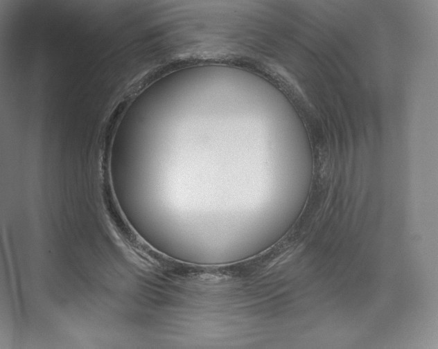 X0000073930542200608111028