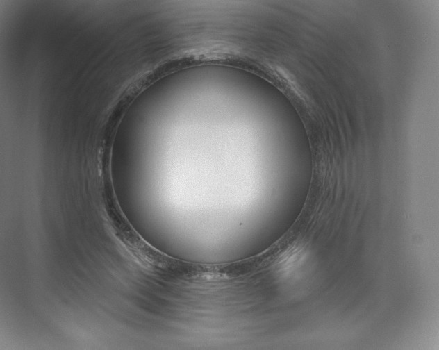 X0000073930543200608111028