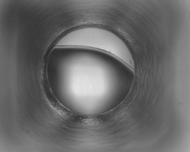 X0000073930544200608111028