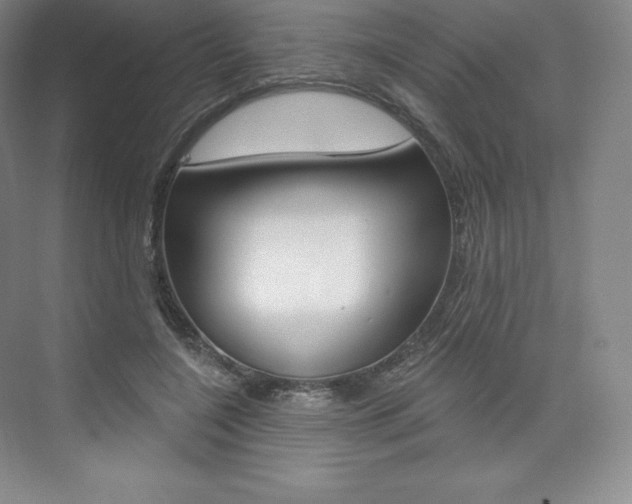 X0000073930548200608111028