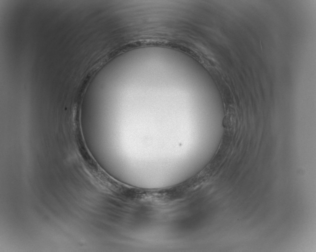 X0000073930550200608111028
