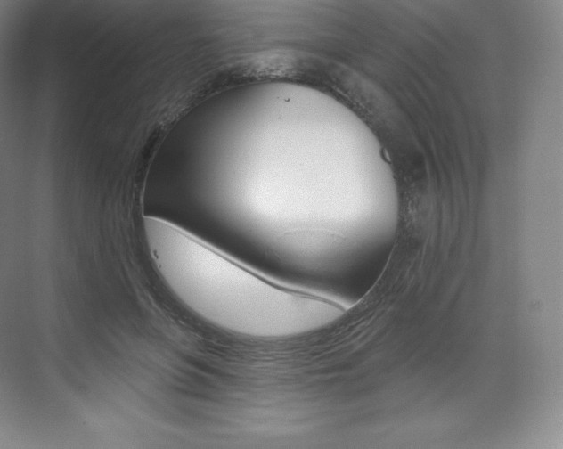 X0000073930551200608111028