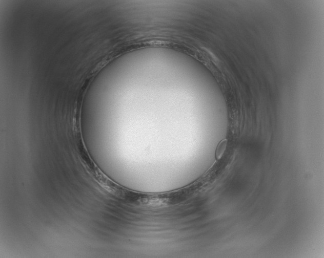 X0000073930553200608111028