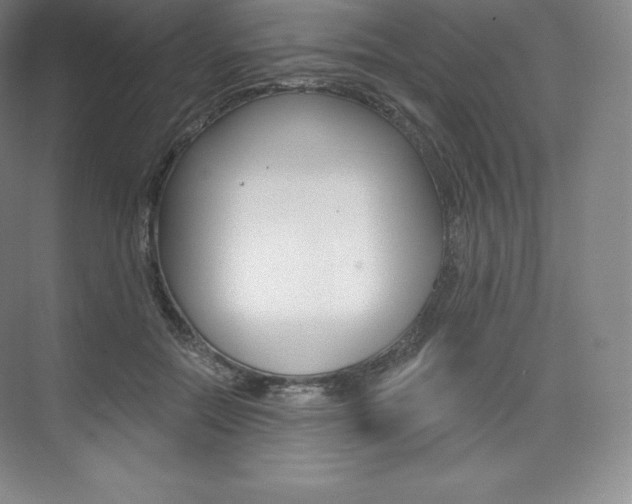 X0000073930554200608111028