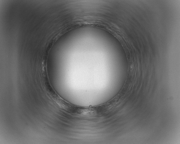 X0000073930555200608111028