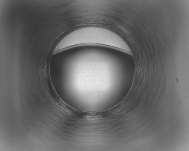 X0000073930556200608111028