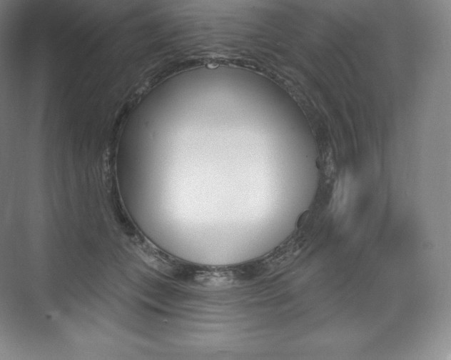 X0000073930559200608111028