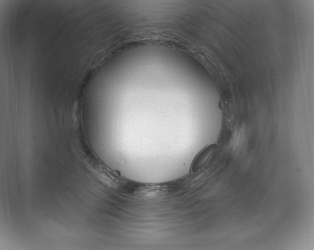 X0000073930563200608111028