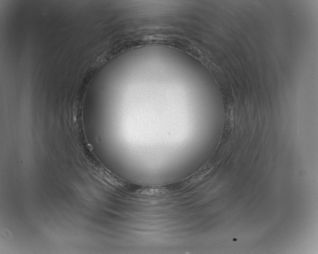 X0000073930567200608111029