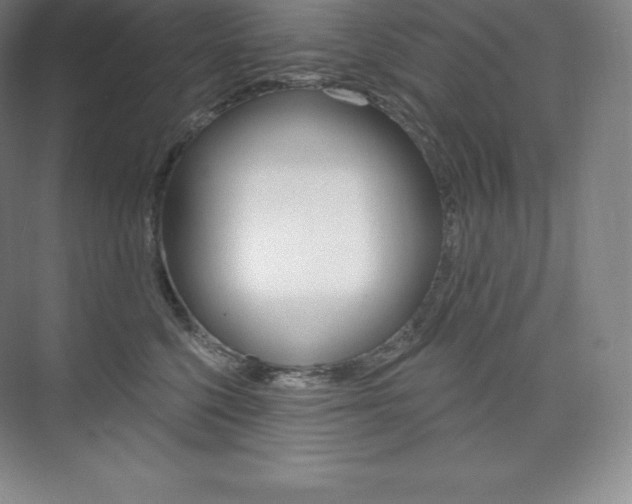 X0000073930568200608111029