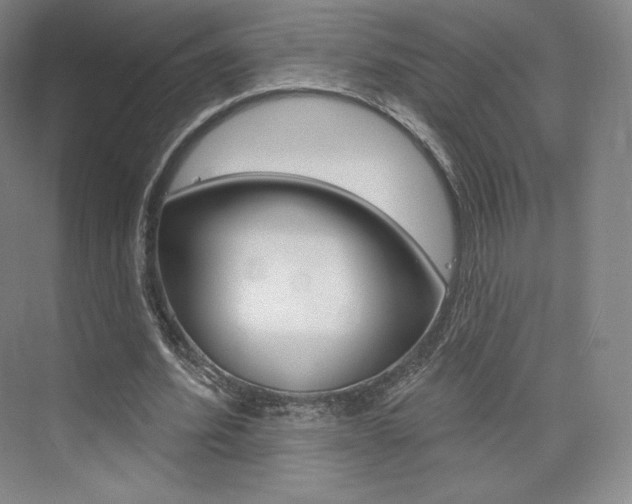 X0000073930580200608111028