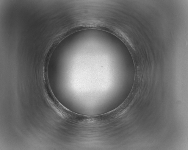 X0000073930589200608111028