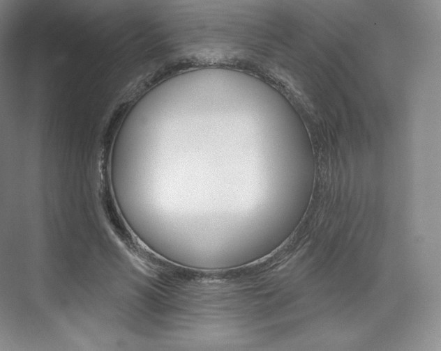 X0000073930590200608111028