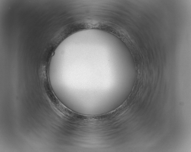 X0000073930598200608111028