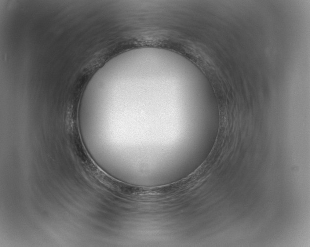X0000073930599200608111028