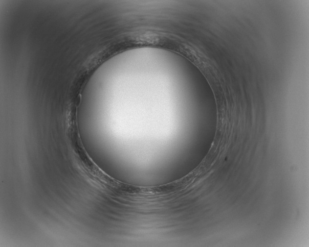 X0000073930600200608111027
