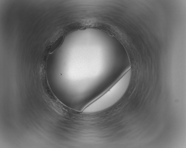 X0000073930601200608111027