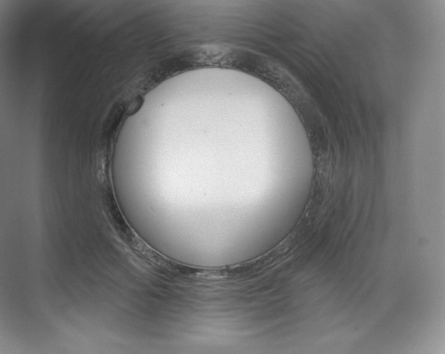 X0000073930602200608111027