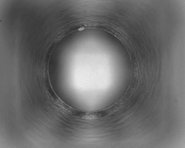 X0000073930604200608111027