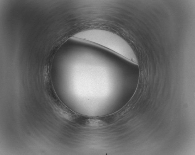 X0000073930605200608111027