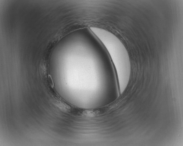 X0000073930613200608111027