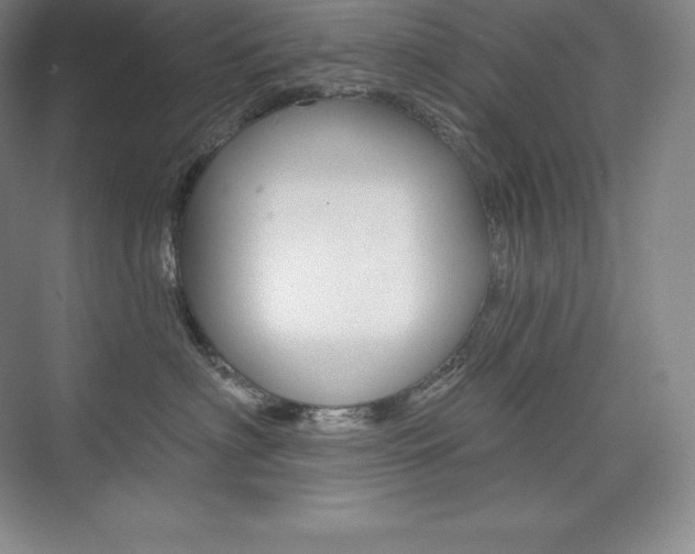 X0000073930622200608111027