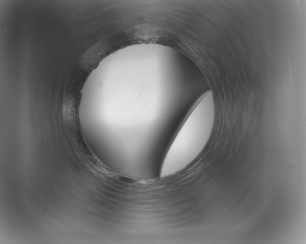 X0000073930623200608111027