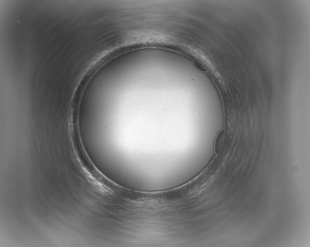 X0000073930629200608111026