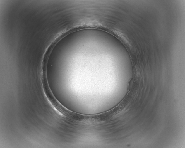 X0000073930630200608111026