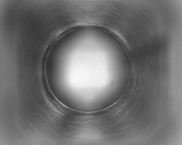 X0000073930631200608111026