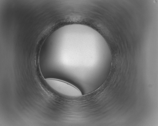 X0000073930640200608111027