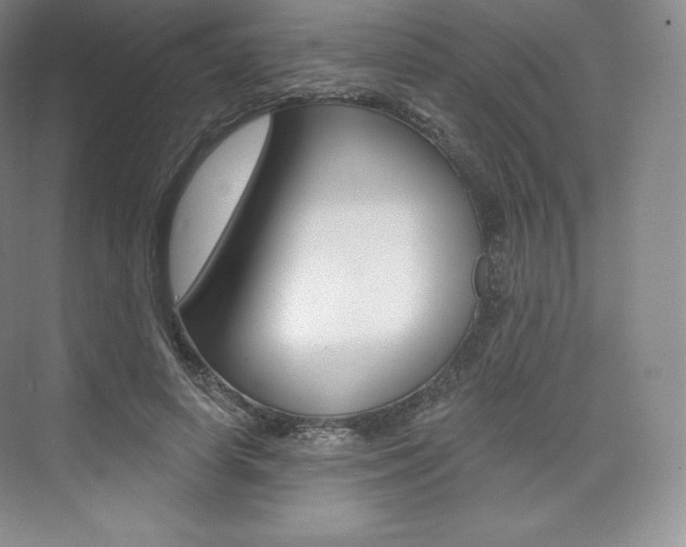 X0000073930642200608111027