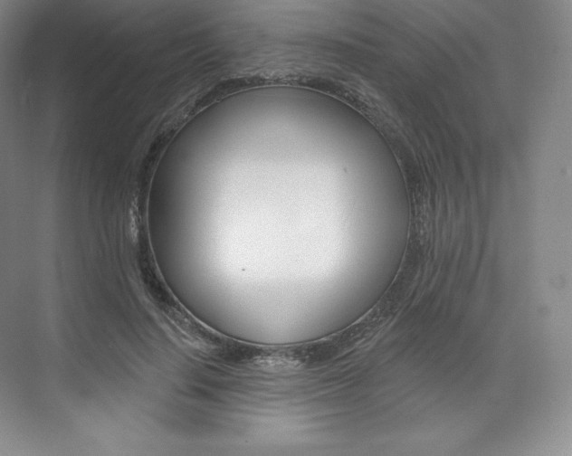 X0000073930644200608111027