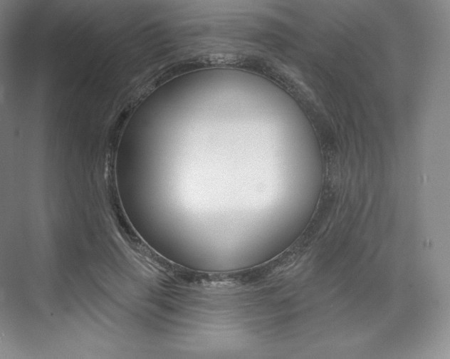 X0000073930645200608111027