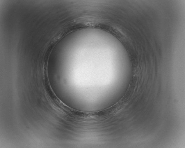 X0000073930646200608111027