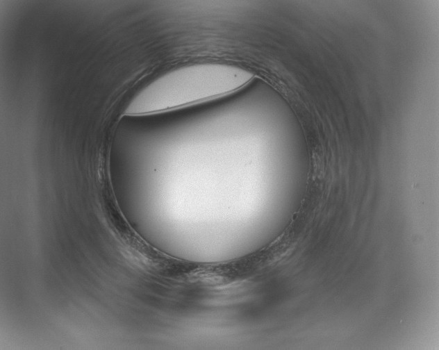 X0000073930648200608111027