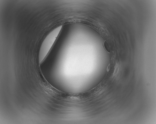 X0000073930649200608111027