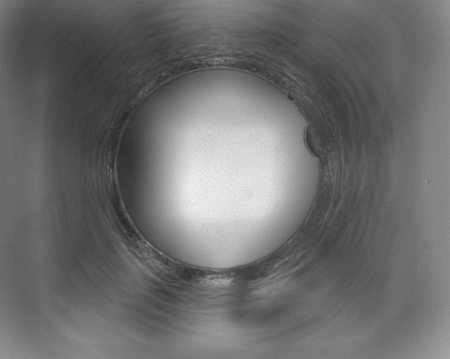 X0000073930651200608111027
