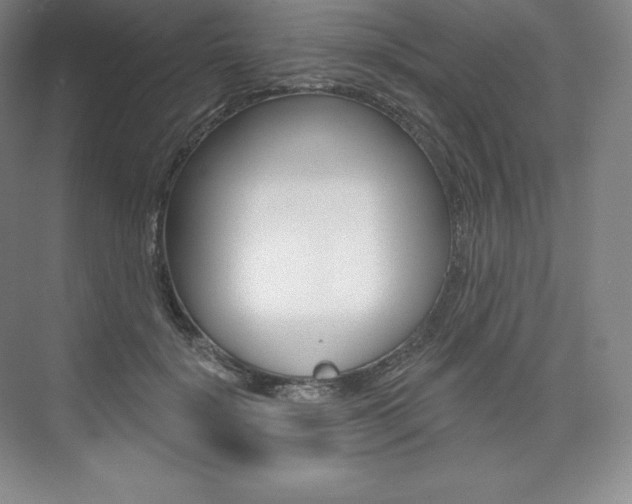 X0000073930652200608111027