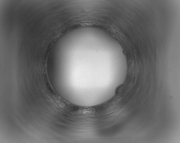 X0000073930655200608111027