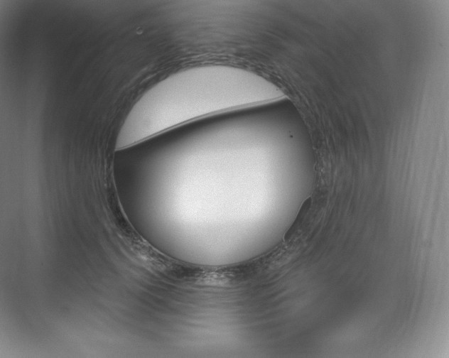 X0000073930656200608111027