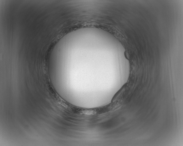 X0000073930659200608111027