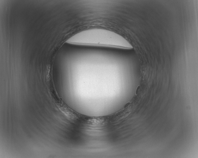 X0000073930660200608111027